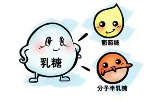 90%以上的人都有“乳糖不耐症”，寶媽春季實力之選